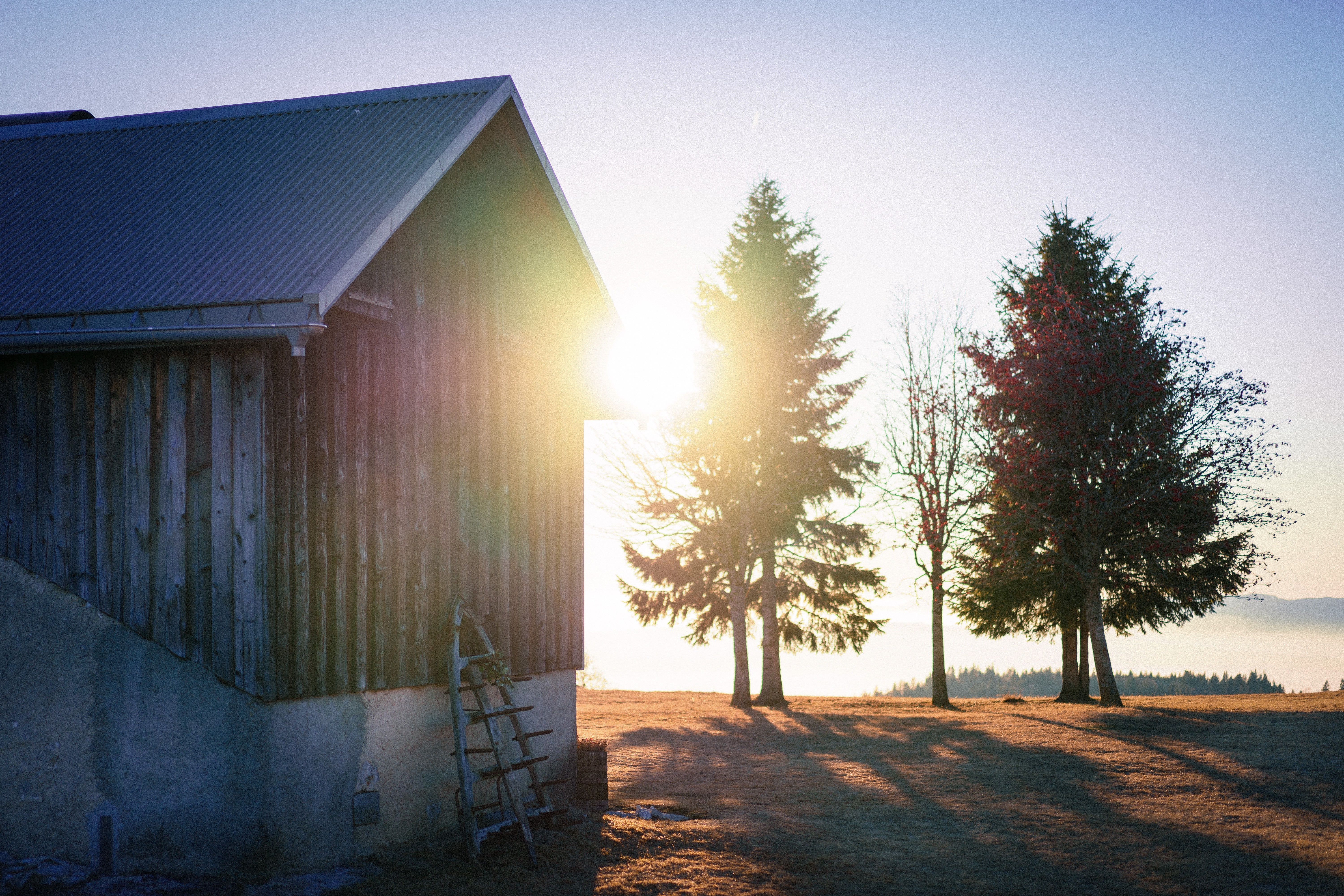 From A Bus Garage To A Horse Barn Real Life Is Reaching Thousands